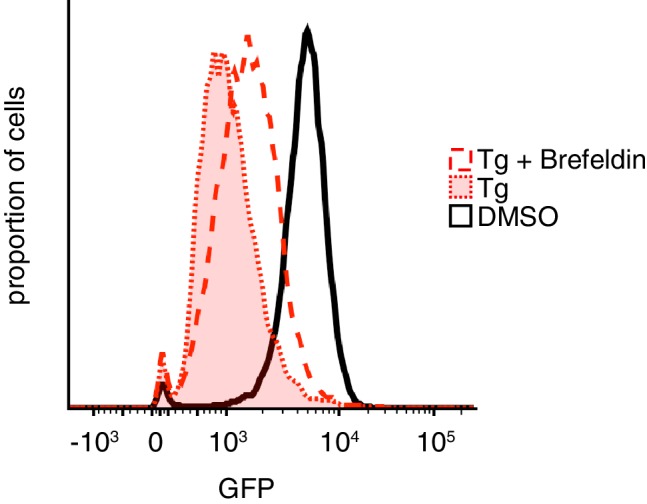 Figure 1—figure supplement 1.