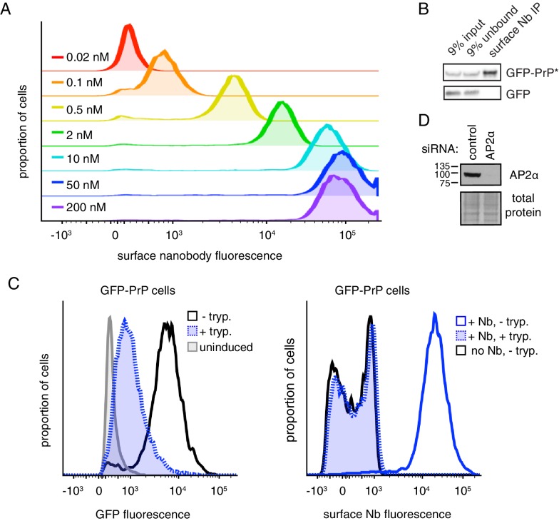 Figure 2—figure supplement 1.