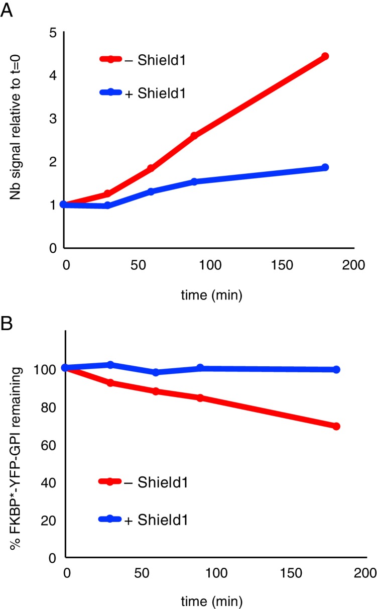 Figure 7—figure supplement 1.