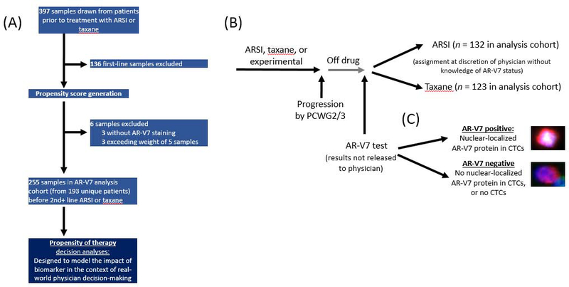 Fig. 1 –