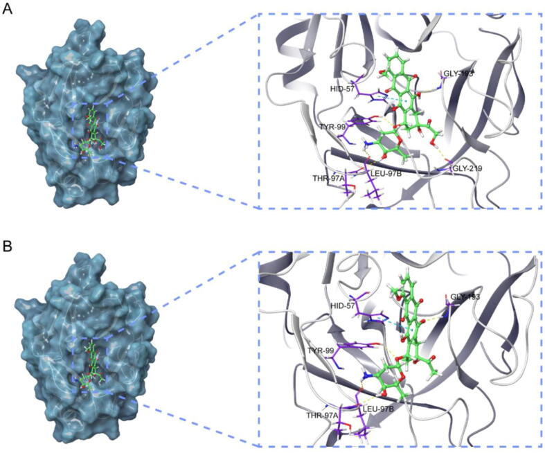 Fig. 11