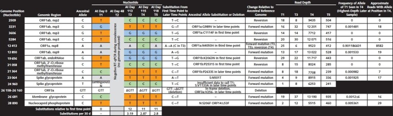 Figure 1. Genetic variation over time observed in SARS-CoV-2 genomes from patient samples. Five nasopharyngeal specimens were collected spanning 118 d. For viral sequencing, 2 replicate sequencing libraries were prepared from source material for each sample as previously described (1). SARS-CoV-2 genomes were assembled using viral-ngs, v2.1.10.0, assembly pipelines (2). Consensus SARS-CoV-2 genomes were assembled for all positive time points, whereas no genomic data were produced from the negative RT-qPCR test result (T2). The genome from the first time point was 96.6% complete (mean depth: 18 reads), and remaining genomes were 99% complete (mean depth: tens to thousands of reads). Each assembled genome was characterized by comparison to the ancestral reference genome, NC_045512.2 (isolated from one of the first known COVID-19 cases in Wuhan, China). The 3 later time points are nearly identical and share a common set of single-nucleotide variants (SNVs), with T3 having a single additional SNV. Compared with T1, these 3 genomes had more substitutions (11-12 SNVs) than expected from the mean substitution rate of SARS-CoV-2, which is approximately 1 substitution every 2 wk (3). Of note, 5 of the substitutions seen in the first time point were replaced by the ancestral allele in later time points; these apparent reversions strongly suggest that the later genomes reflect an independent infection with a virus from a distinct lineage rather than evolution of the virus of the first time point, especially given the ubiquity of SARS-CoV-2 in the surrounding community. Three amino acid changes present at the first time point were absent from the later time points, and the later time points all bear 3 new amino acid substitutions not seen in the first time point, as well as a deletion. Time points T3–T5 had a notable amino acid substitution in the receptor-binding domain of the spike glycoprotein at position 501 (S:N501T), an amino acid substitution believed to increase affinity for the angiotensin-converting enzyme 2 receptor (4). In the most deeply sequenced later time point, T4, none of the distinguishing variants of the first time point were present in high abundance, and nearly half were absent entirely. For none of the apparent reversions to the ancestral allele did a minor population exist in the most densely sequenced later time point, T4. RT-qPCR = reverse transcriptase quantitative polymerase chain reaction.