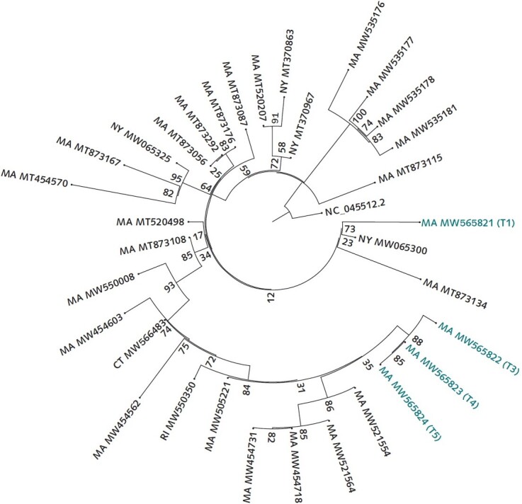 Figure 2. Tree of SARS-CoV-2 genomes generated from this patient and contextual SARS-CoV-2 genomes from surrounding states (MA, CT, RI, VT, NH, ME, and NY) as of 5 February 2021 from the National Center for Biotechnology Information GenBank. Similarity by genetic distance and placement on the phylogenetic tree show that the second infection is more closely related to and descended from infections circulating in the community than from the viral genome sequenced from the first infection. The sequences were aligned to the reference NC_045512.2 using MAFFT. A maximum likelihood tree was created via IQ-Tree with the general time-reversible model with empirical base frequencies and 3 FreeRate categories, as selected by minimum Akaike information criterion. CT = Connecticut; MA = Massachusetts; ME = Maine; NH = New Hampshire; NY = New York; RI = Rhode Island; VT = Vermont.