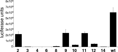 FIG. 2.