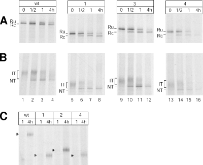 FIG. 3.