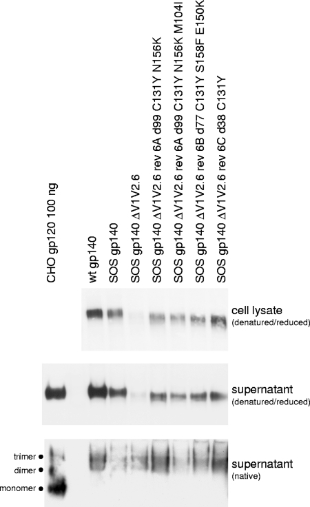 FIG. 8.