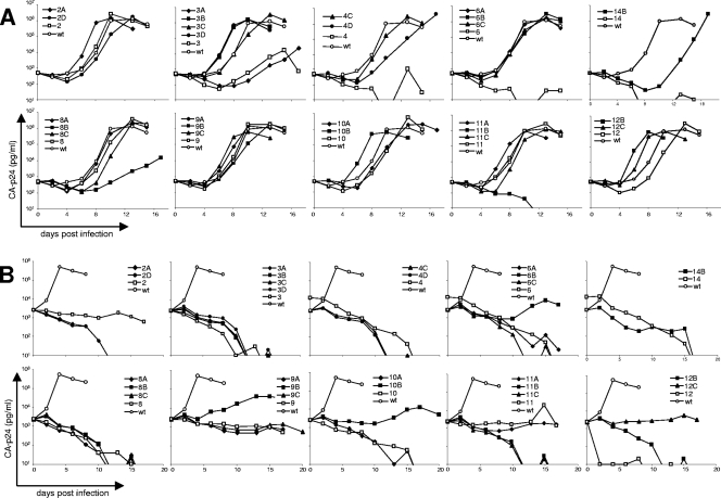 FIG. 4.