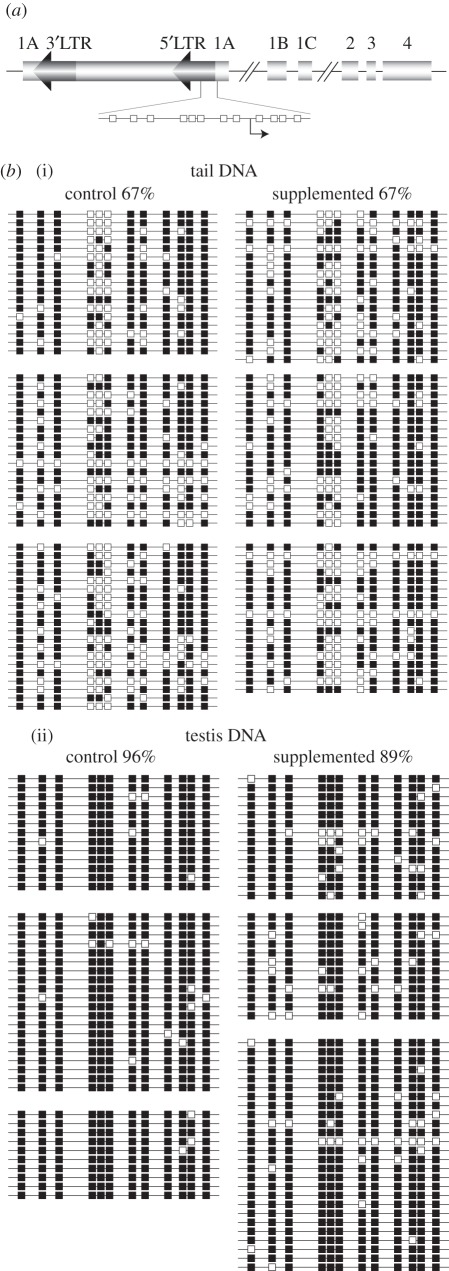 Figure 3.