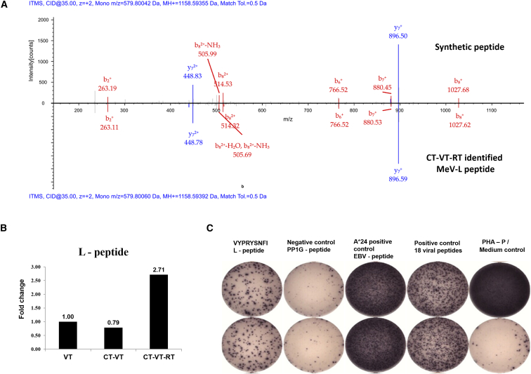 Figure 7