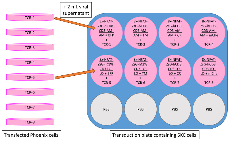 Figure 17.