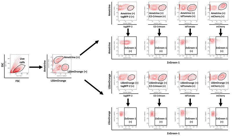 Figure 19.