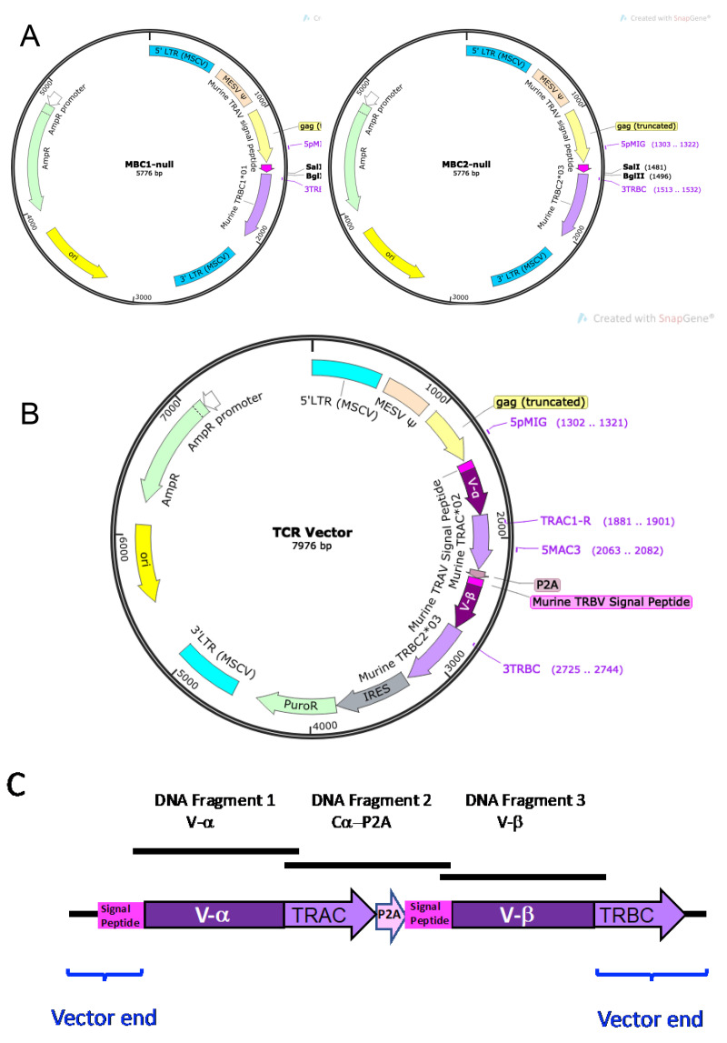 Figure 6.