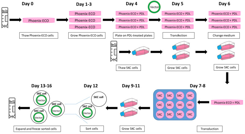 Figure 11.