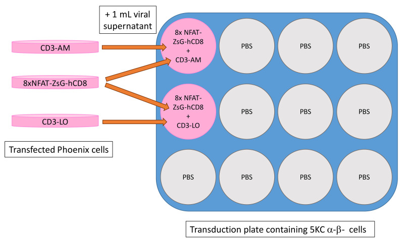 Figure 13.