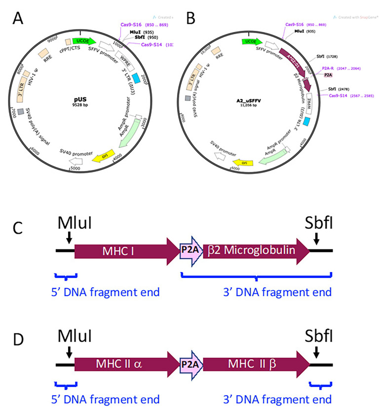 Figure 10.