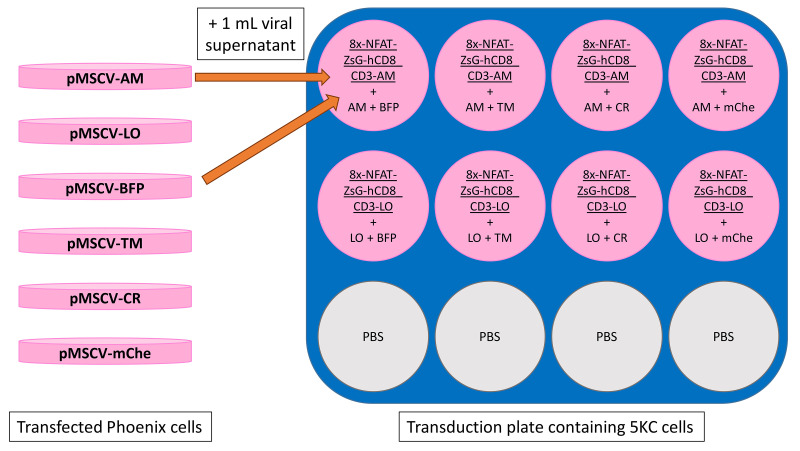 Figure 15.