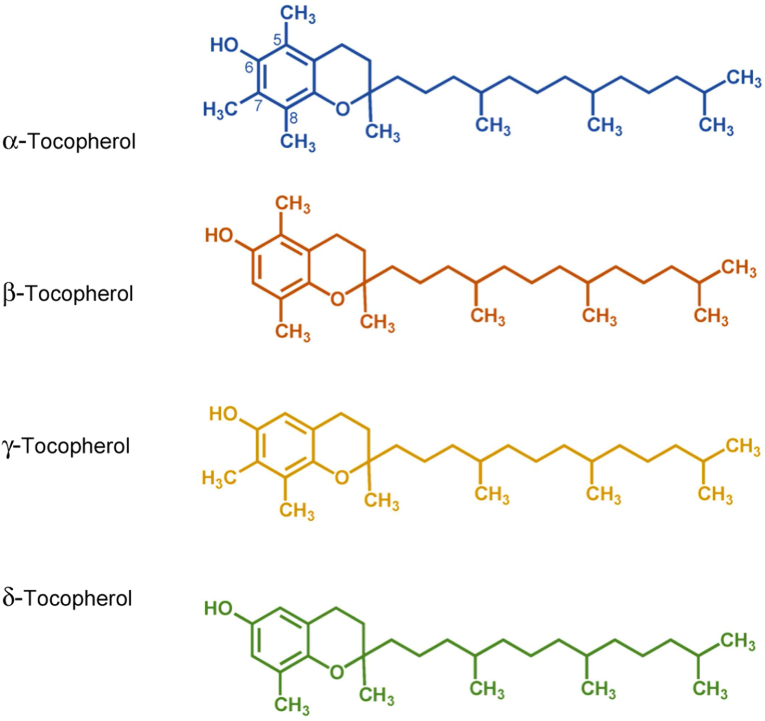 Figure 4