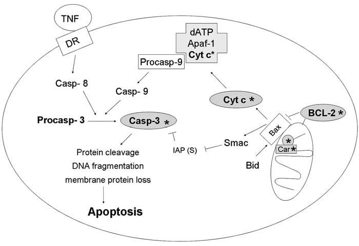 FIG. 10.