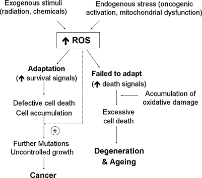 FIG. 13.