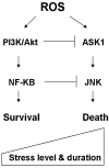 FIG. 11.