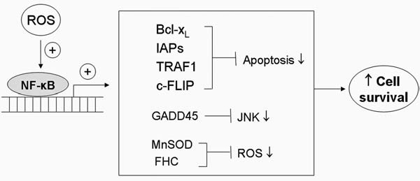 FIG. 5.