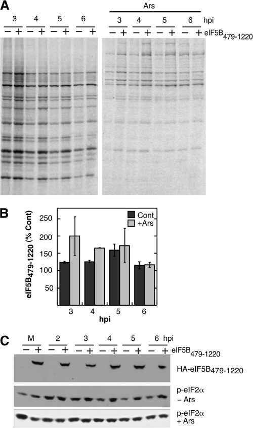 Fig. 6.