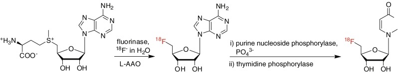 Fig. 5