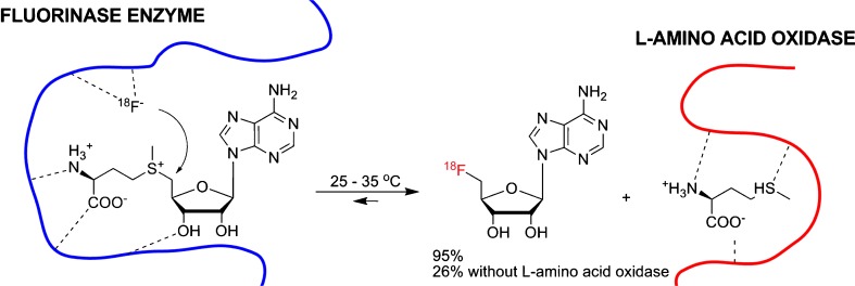 Fig. 4