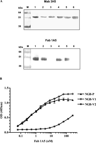 FIG. 4.