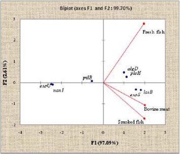 Fig. 8.