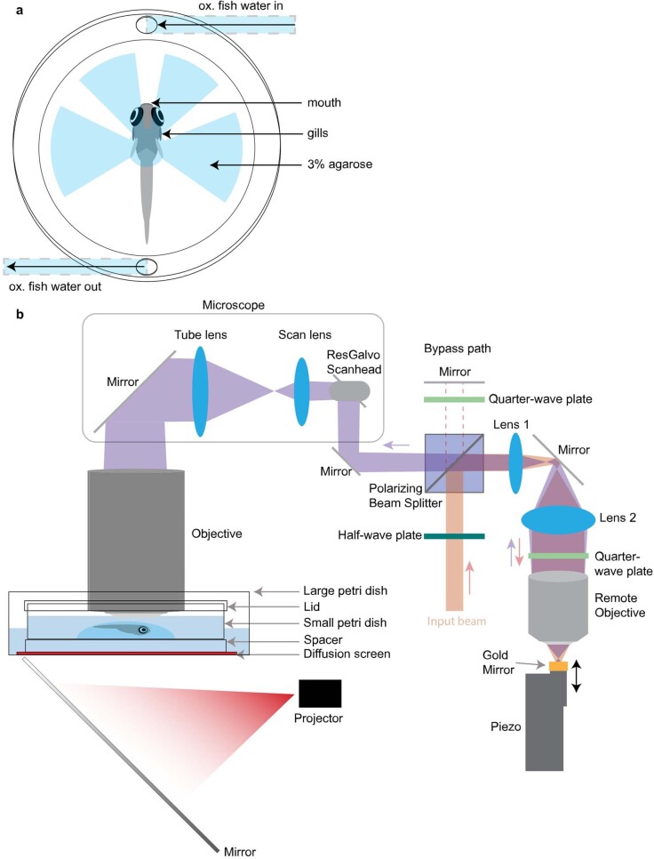 Extended Data Fig. 3