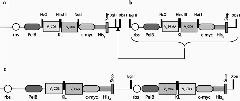 Fig. 1