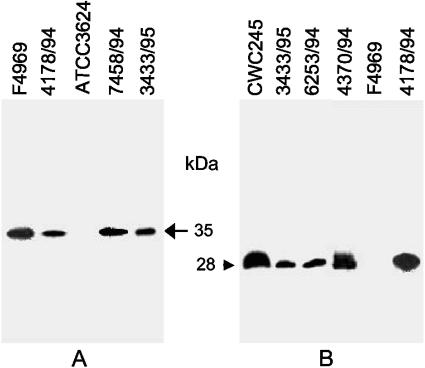 FIG. 5.