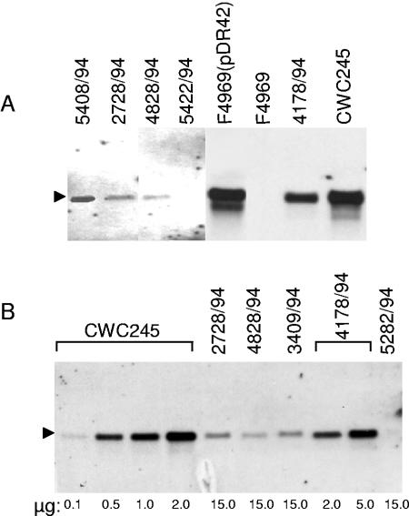 FIG. 6.