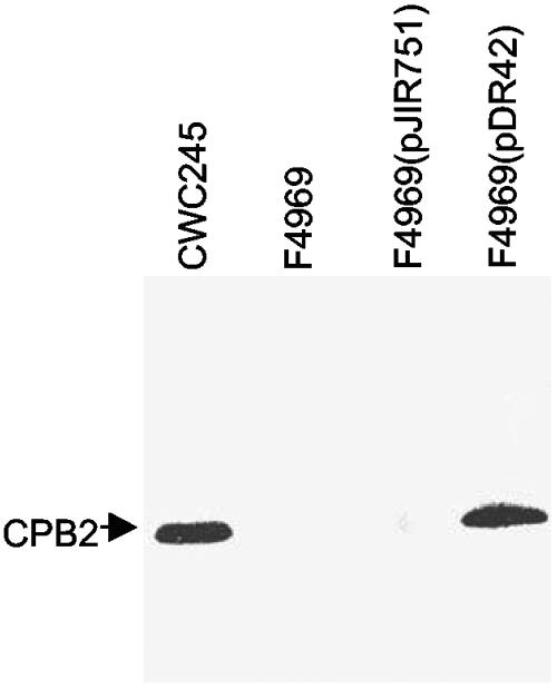 FIG. 7.