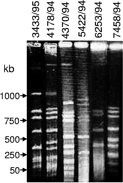 FIG. 4.