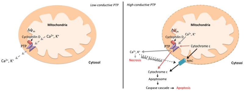 Fig. 4