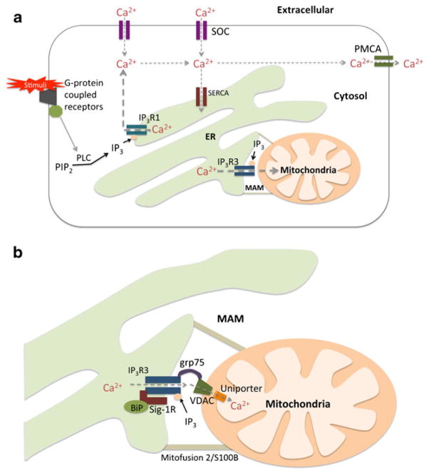 Fig. 2