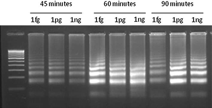 Fig. 3