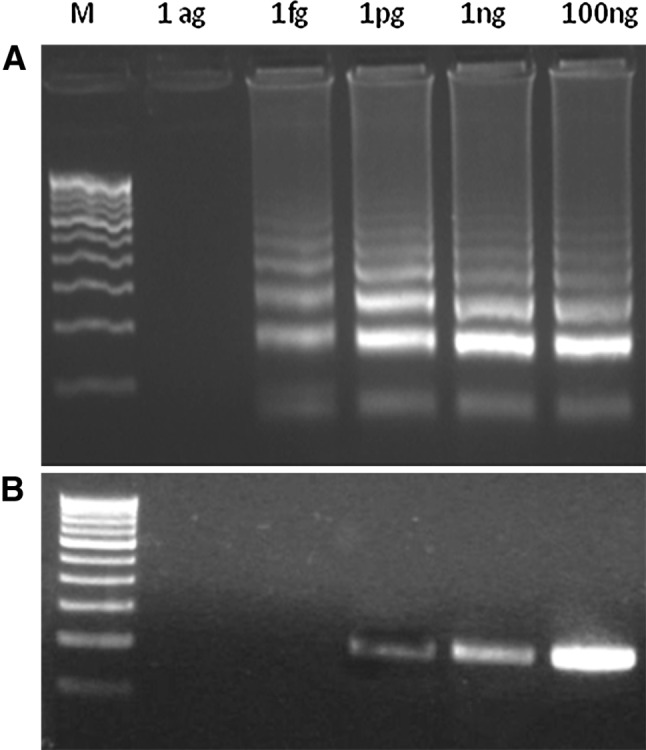 Fig. 4