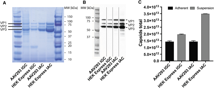 Figure 3