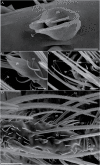 Fig. 3.
