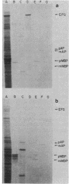 259