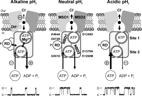 FIGURE 9.