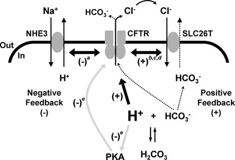 FIGURE 10.