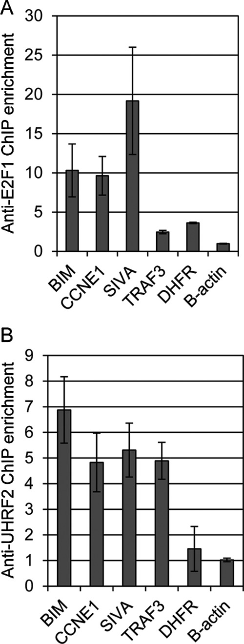 FIGURE 9.