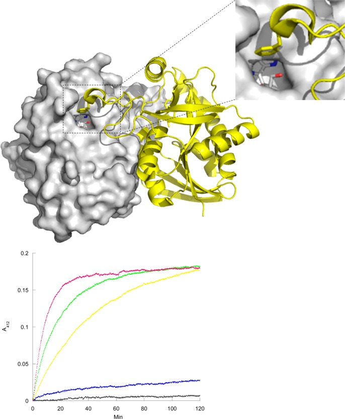 Figure 5