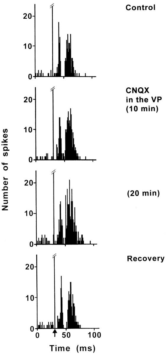 Fig. 7.