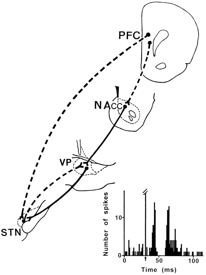 Fig. 8.