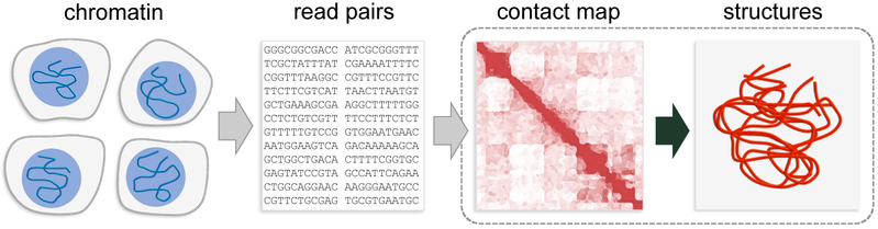 Figure 1: